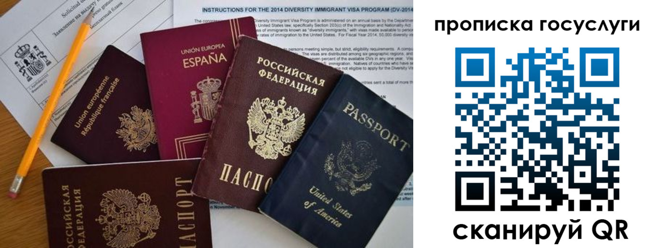 прописка гарантия в Кировске